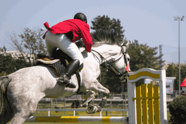 benefici equitazione